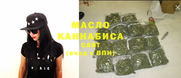 гидра Бронницы