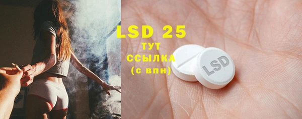 дурь Бородино