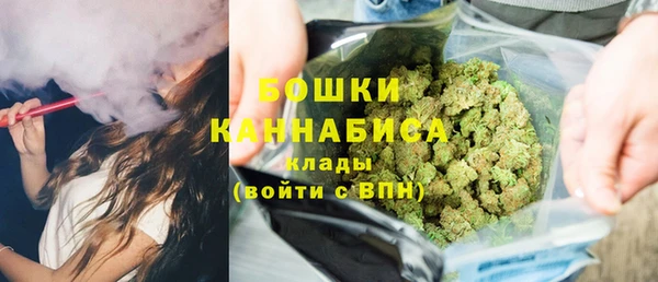гидра Бронницы