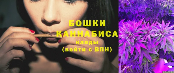 дурь Бородино