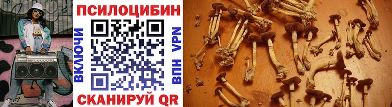 Псилоцибиновые грибы Psilocybine cubensis  omg ТОР  Гурьевск 